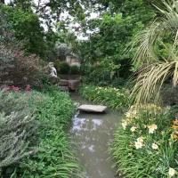 Sanctuary Guest & Adventure Farm