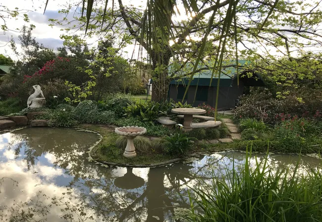 sanctuary-guest-adventure-farm-schoombeegrassridge-road-r390-cradock-5880-qk2uw