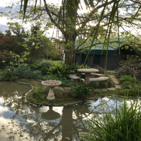 sanctuary-guest-adventure-farm-schoombeegrassridge-road-r390-cradock-5880-qk2uw