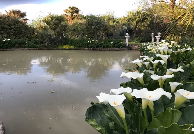 sanctuary-guest-adventure-farm-schoombeegrassridge-road-r390-cradock-5880-rx6me