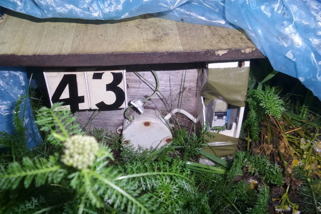 camping-u-jawora-suwalki-4ofq1