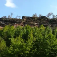 buettelwoog-dahn-gtvff