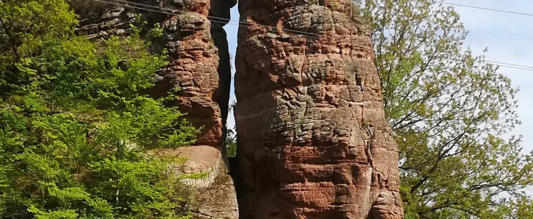 Buettelwoog