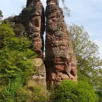 buettelwoog-dahn-reukc