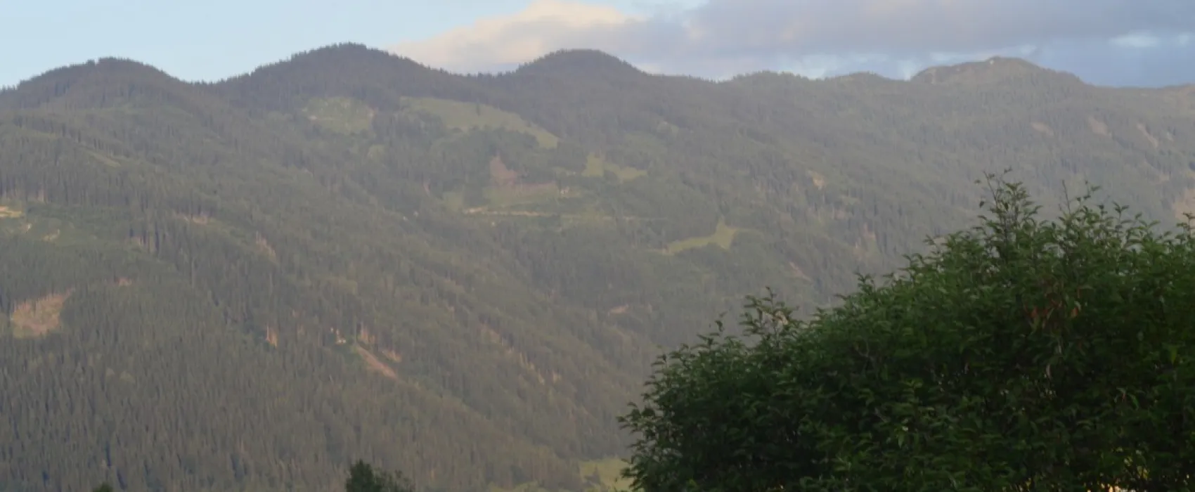 Forellencamp