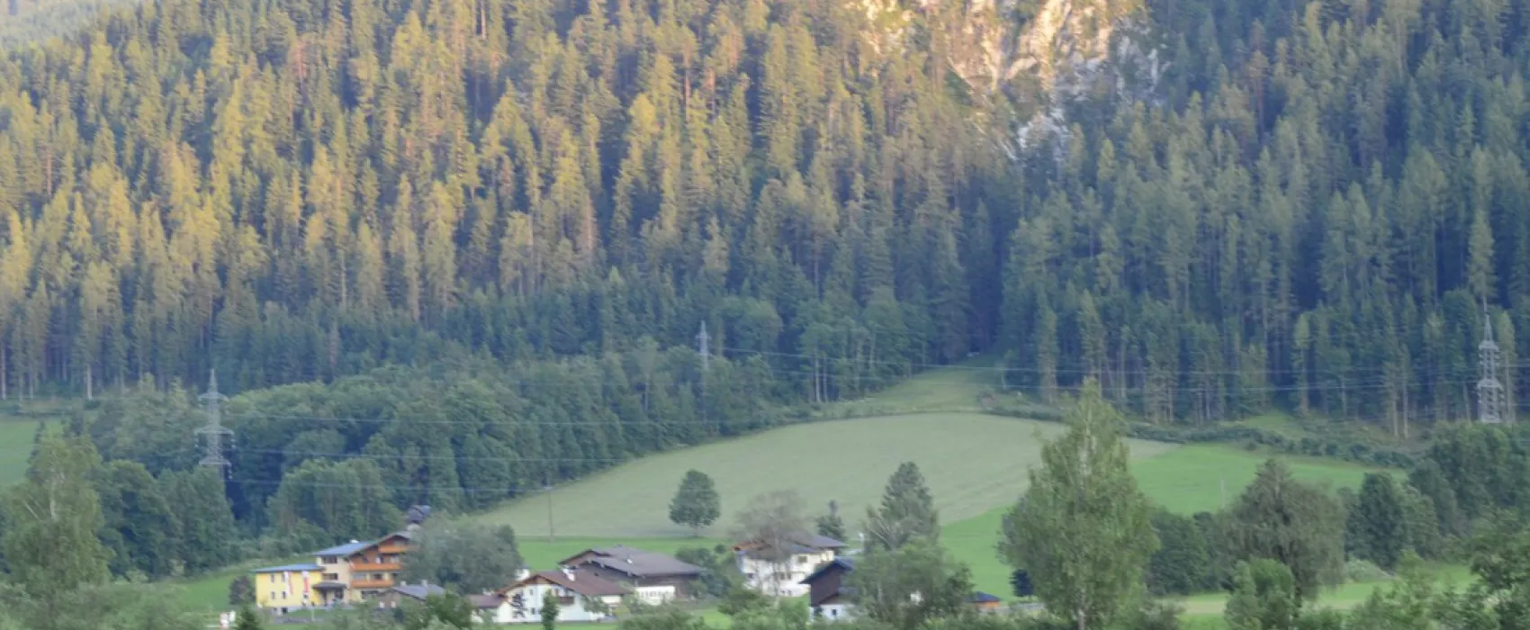 Forellencamp