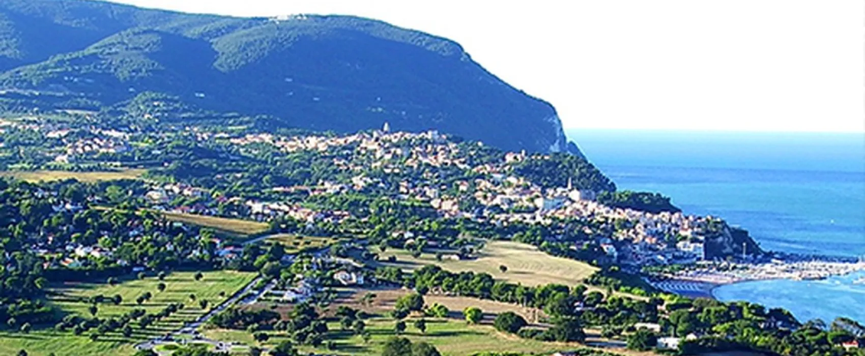 Bellamare