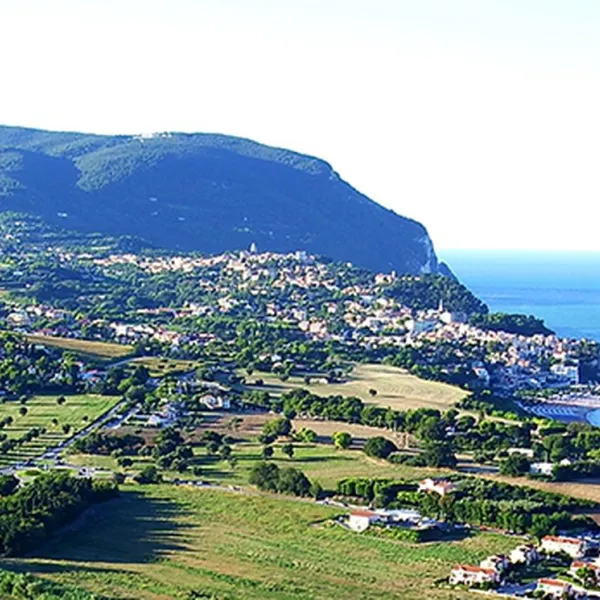 Bellamare