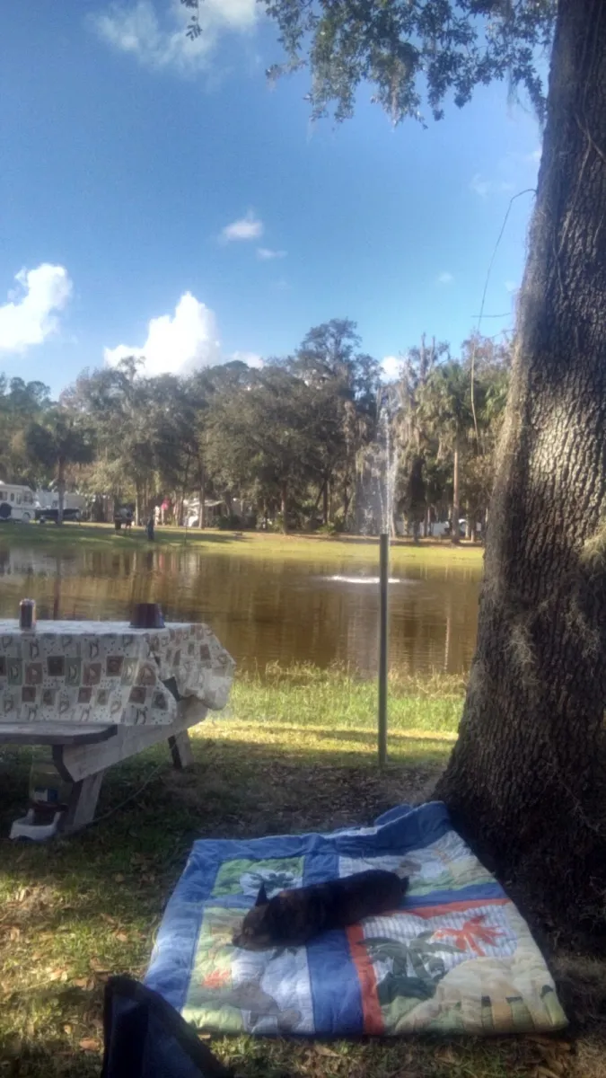 astor-landing-campground-marina-astor-cl5dk