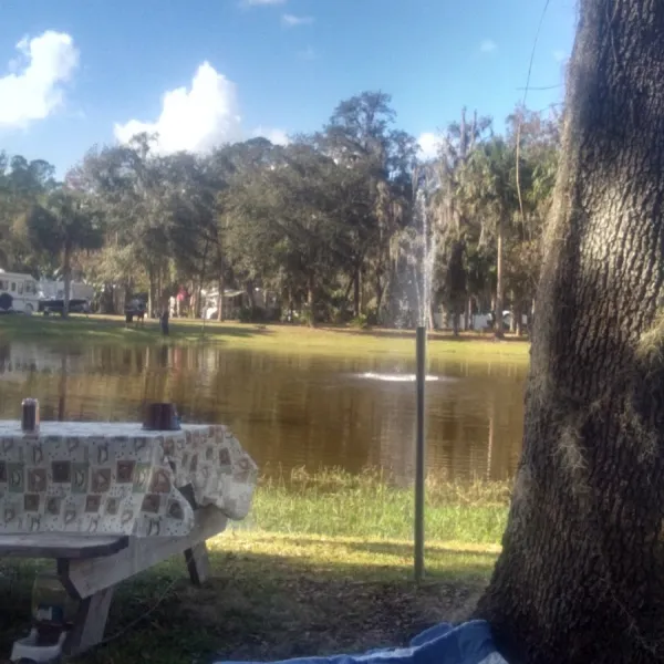 astor-landing-campground-marina-astor-cl5dk