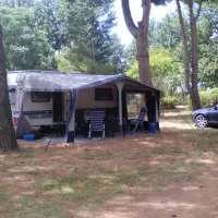 Les Cedres