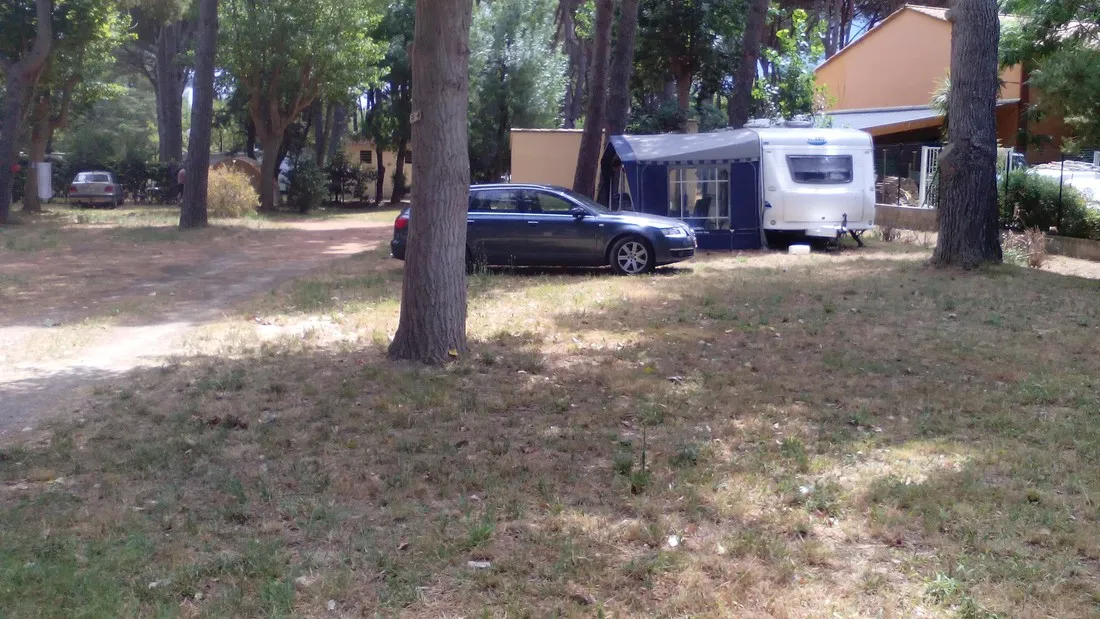 les-cedres-argeles-sur-mer-tdkwj