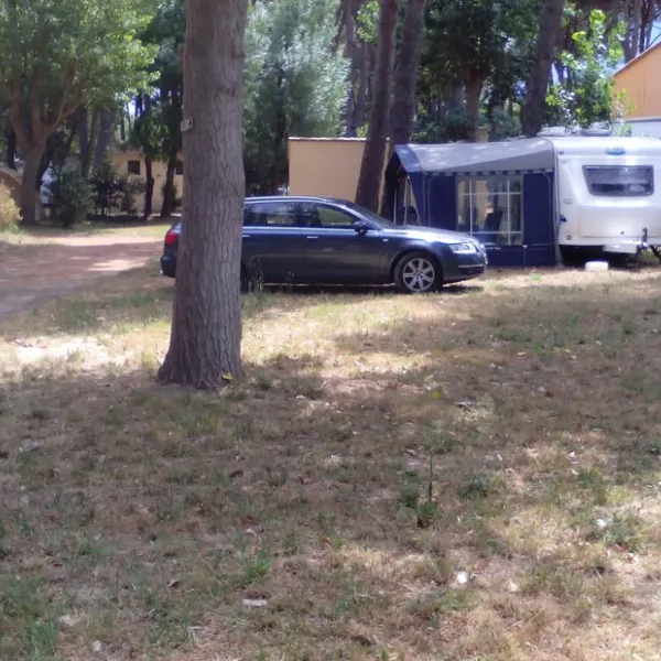 les-cedres-argeles-sur-mer-tdkwj