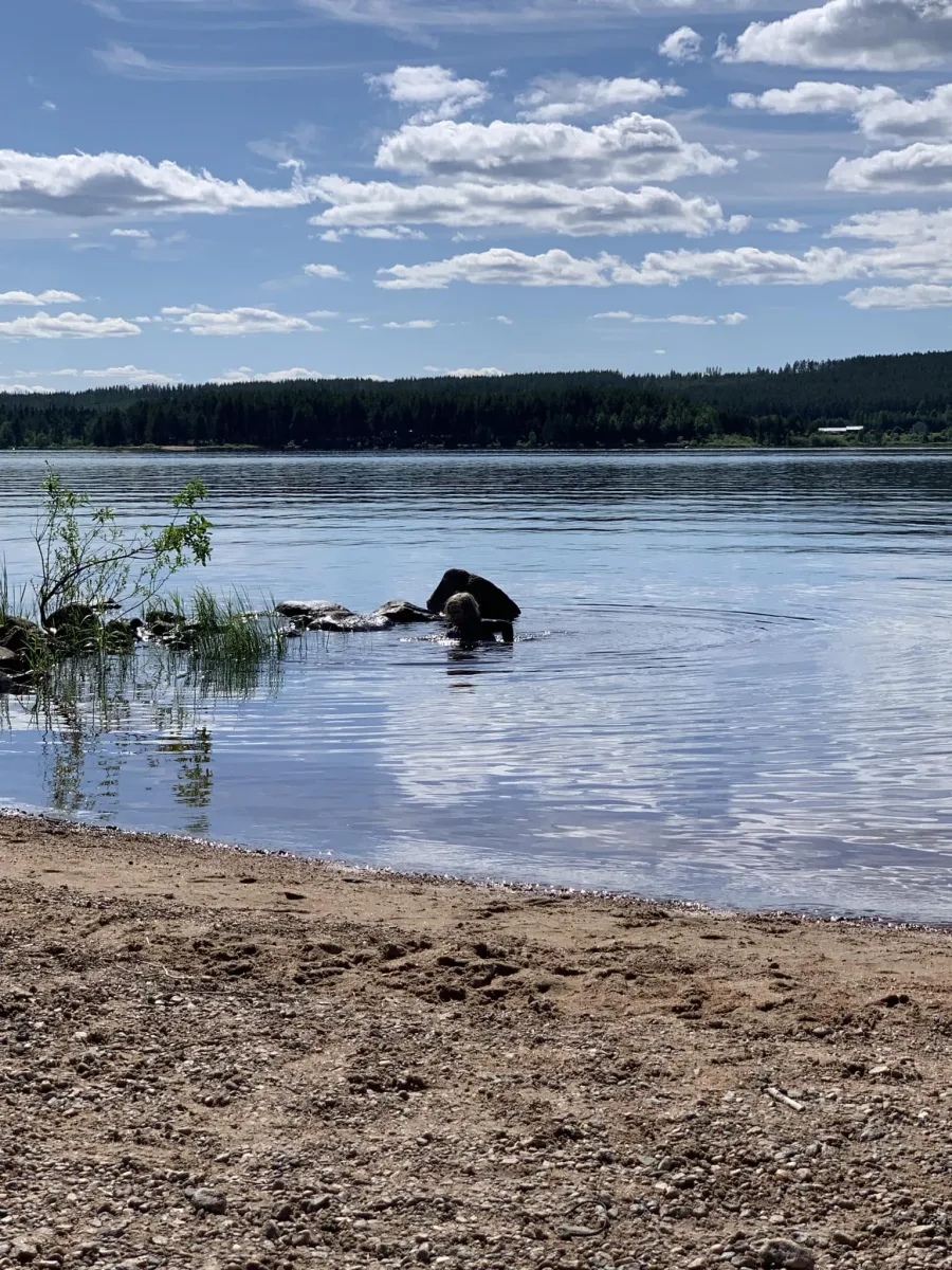 camp-lakeside-boheden-overkalix-a5s0g
