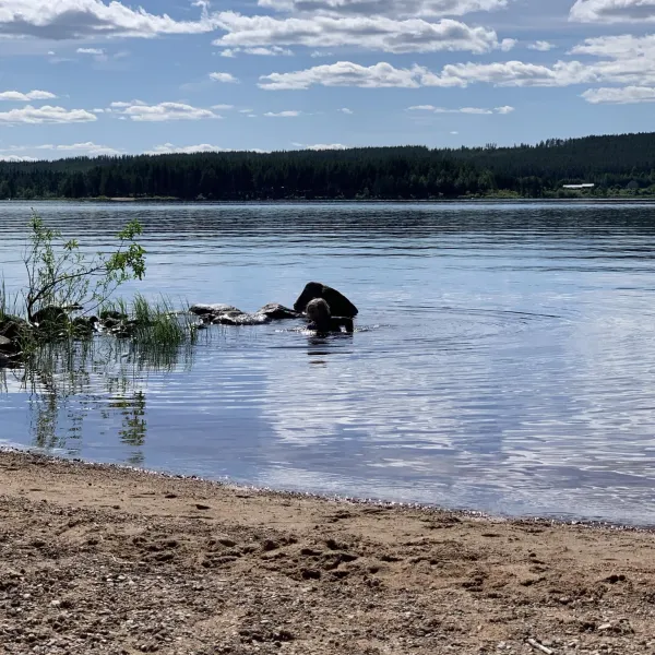 camp-lakeside-boheden-overkalix-a5s0g