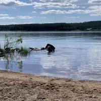 camp-lakeside-boheden-overkalix-a5s0g