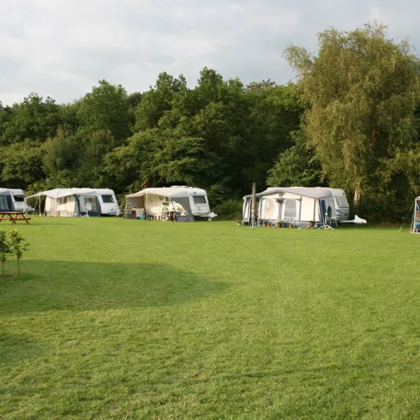 bij-de-schaapskooi-nijverdal-4fnwl