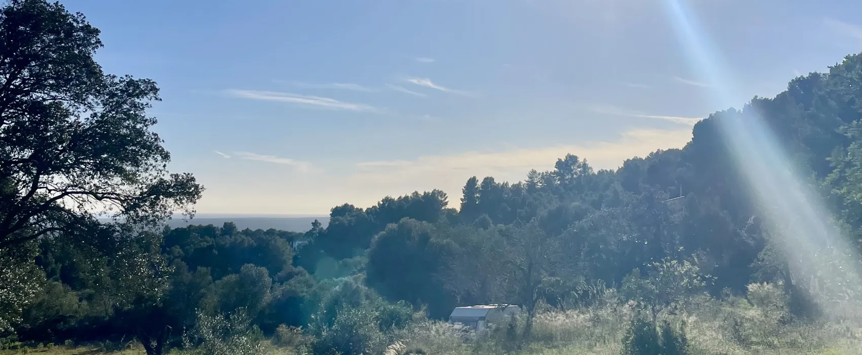 Natur 🌳 Stellplatz Mallorca