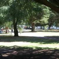 parc-sainte-brigitte-la-turballe-loire-atlantique-dcyzy