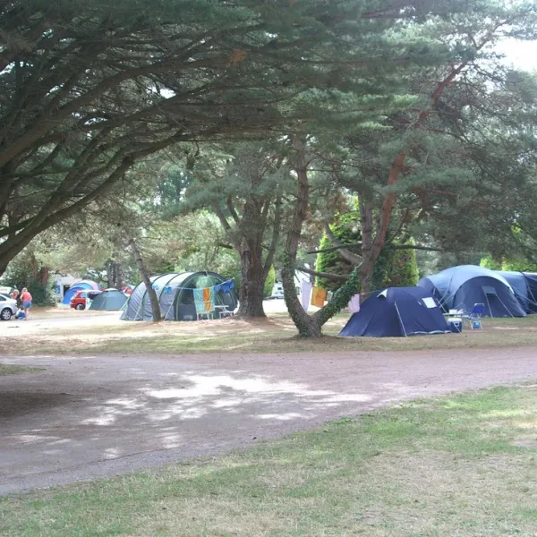 parc-sainte-brigitte-la-turballe-loire-atlantique-snm3t