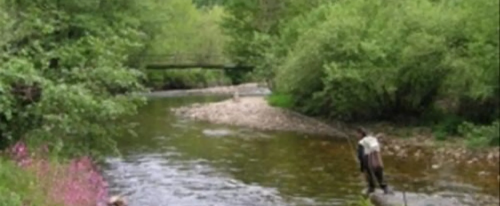 Camping Le Vaubarlet  