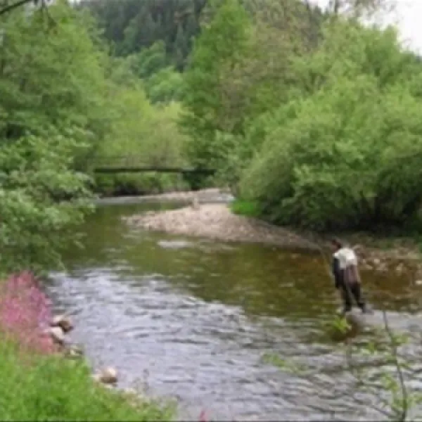 Camping Le Vaubarlet  