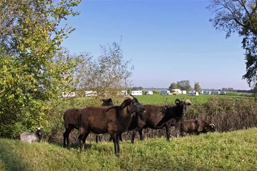 camping-rittergut-frankenfeld-frankenfeld-rethem-aller-a2jon