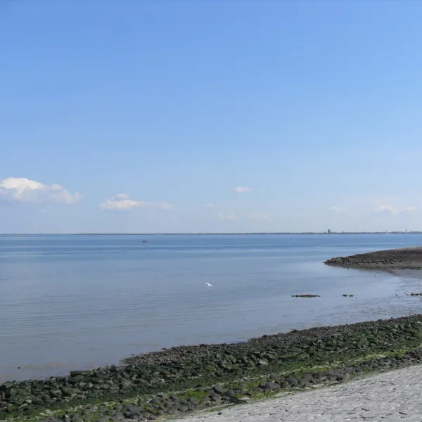 camping-orisant-colijnsplaat-mkhfd