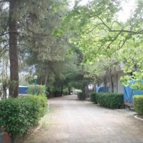 camping-blue-bay-agios-konstantinos-rpexs