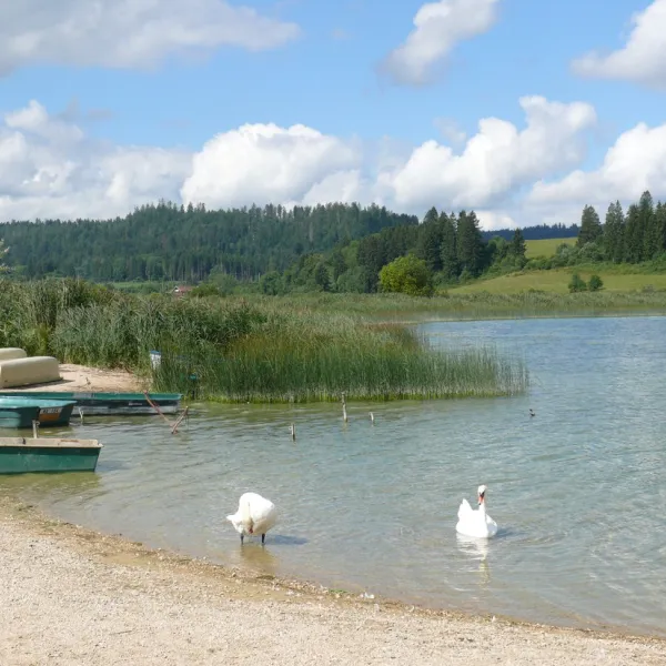 camping-les-fuvettes-doubs-cangn