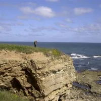 sandhaven-caravan-and-camping-park-south-shields-q3ci7