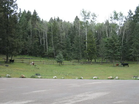 upper-karr-canyon-campground-cloudcroft-hxoft