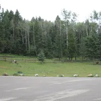 upper-karr-canyon-campground-cloudcroft-hxoft
