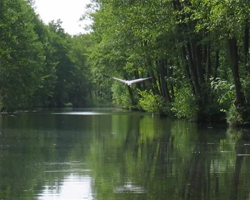 ferienpark-seehof-seehof-bei-schwerin-4zykf