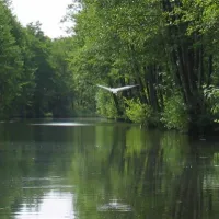 ferienpark-seehof-seehof-bei-schwerin-4zykf