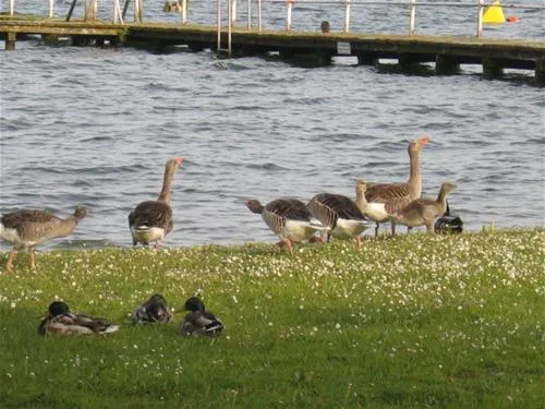 ferienpark-seehof-seehof-bei-schwerin-ilmdl