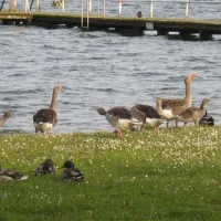 ferienpark-seehof-seehof-bei-schwerin-ilmdl