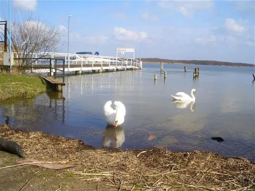 ferienpark-seehof-seehof-bei-schwerin-lyjqi