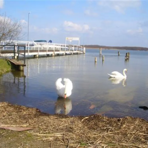 ferienpark-seehof-seehof-bei-schwerin-lyjqi