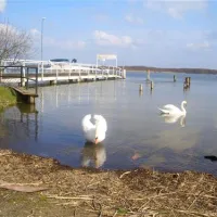 ferienpark-seehof-seehof-bei-schwerin-lyjqi