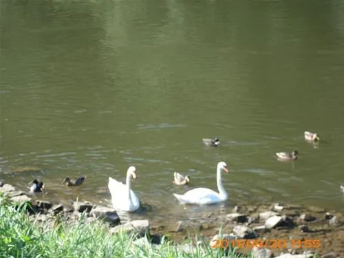 camping-ankergrund-volkach-jid3p