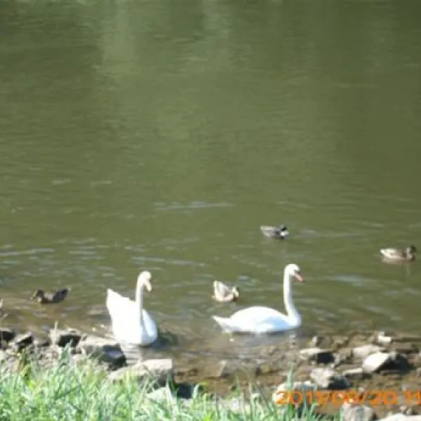 camping-ankergrund-volkach-jid3p