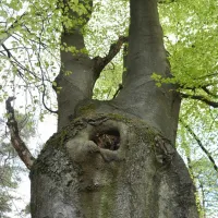 natuurkampeerterrein-nieuw-soerel-nunspeet-od79g