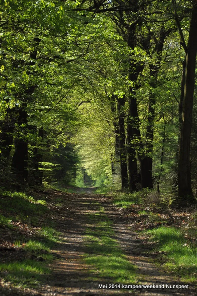 natuurkampeerterrein-nieuw-soerel-nunspeet-txlgj