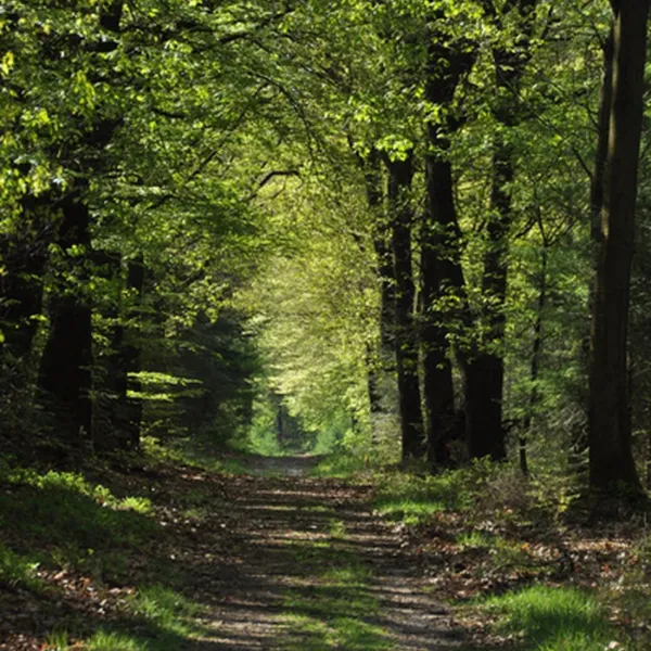 natuurkampeerterrein-nieuw-soerel-nunspeet-txlgj