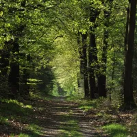 natuurkampeerterrein-nieuw-soerel-nunspeet-txlgj