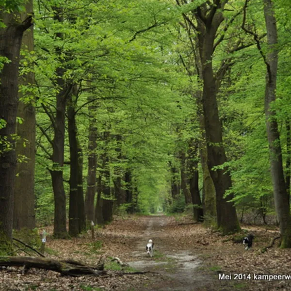 natuurkampeerterrein-nieuw-soerel-nunspeet-vbrgs