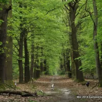 natuurkampeerterrein-nieuw-soerel-nunspeet-vbrgs