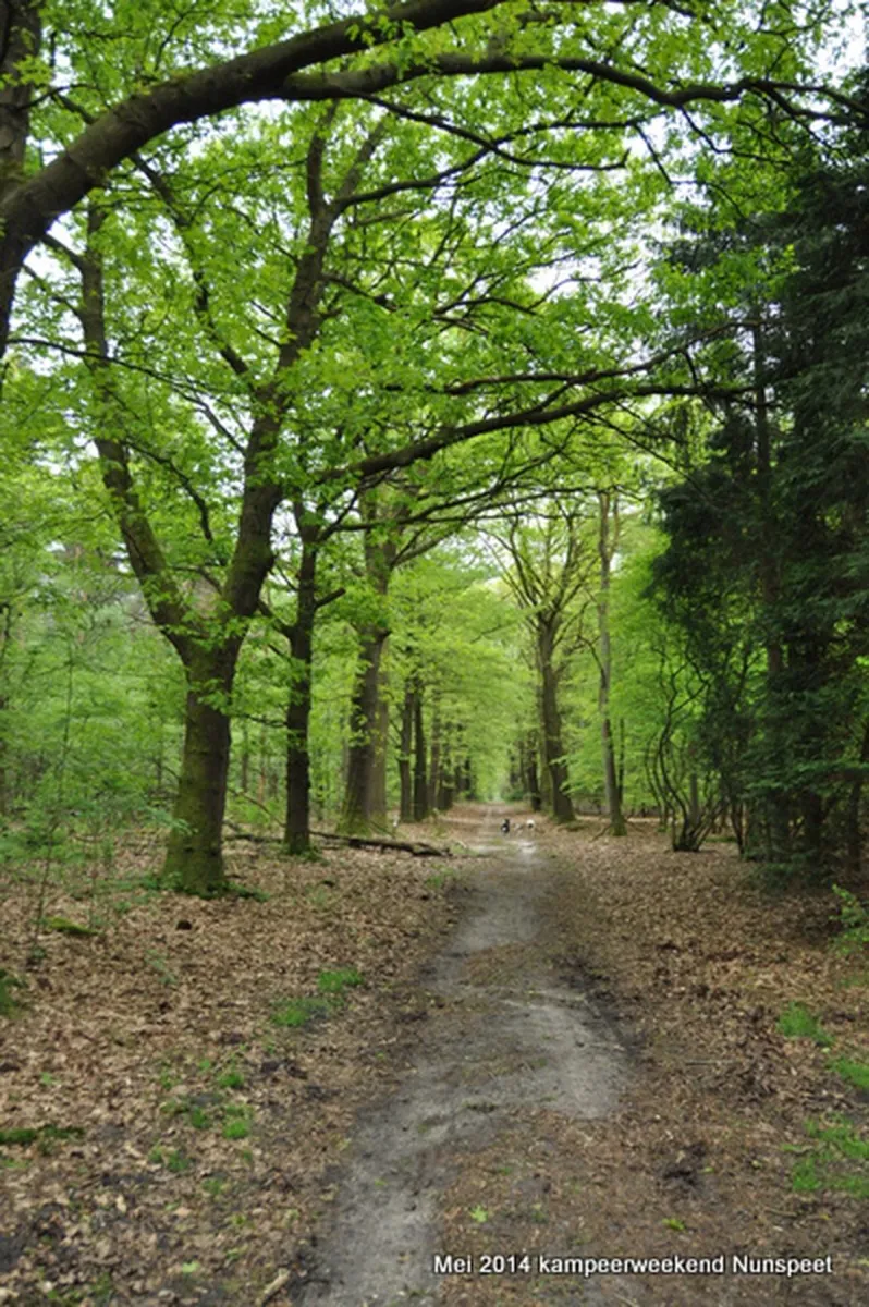 natuurkampeerterrein-nieuw-soerel-nunspeet-xpeme