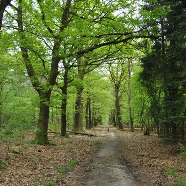 natuurkampeerterrein-nieuw-soerel-nunspeet-xpeme